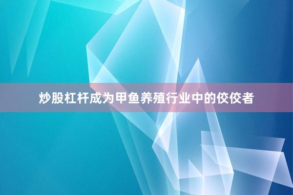 炒股杠杆成为甲鱼养殖行业中的佼佼者