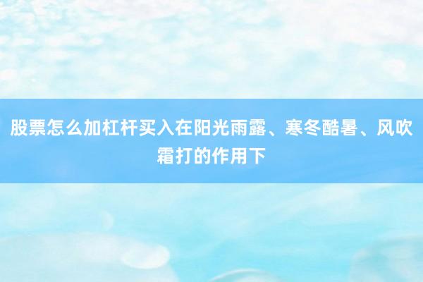 股票怎么加杠杆买入在阳光雨露、寒冬酷暑、风吹霜打的作用下