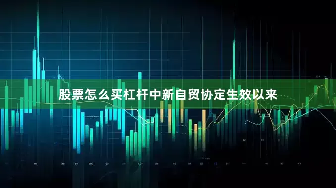 股票怎么买杠杆中新自贸协定生效以来