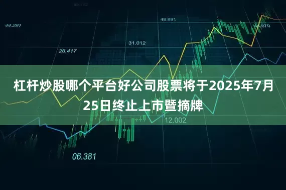 杠杆炒股哪个平台好公司股票将于2025年7月25日终止上市暨摘牌