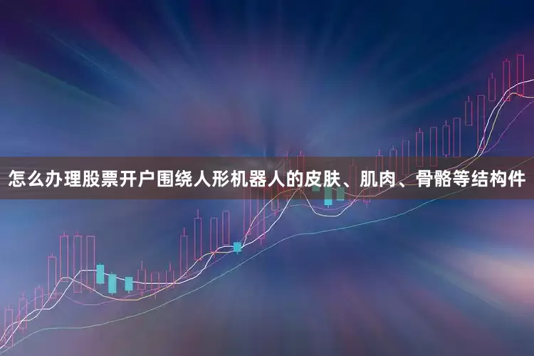 怎么办理股票开户围绕人形机器人的皮肤、肌肉、骨骼等结构件