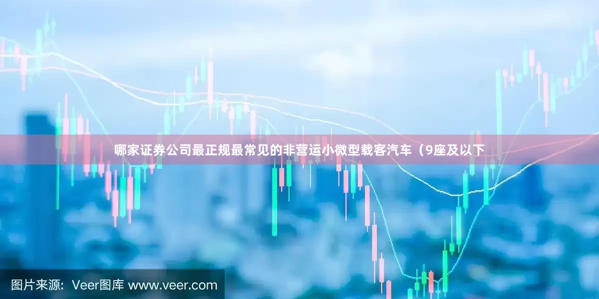 哪家证券公司最正规最常见的非营运小微型载客汽车（9座及以下
